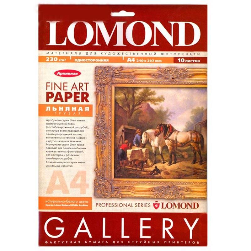 Холст LOMOND для струйного принтера Pigm Canvas P А4 10л, 0908421