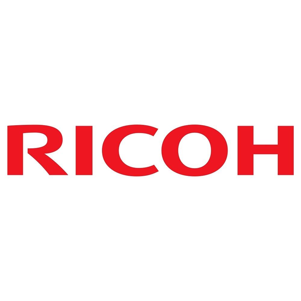 Фильтр блока проявки RICOH AA012081/AA01-2081