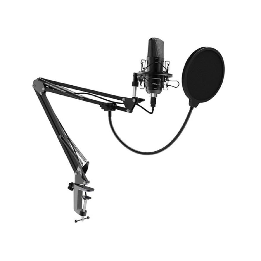 RITMIX RDM-169 Black {увствительность: - 42 ± 2 дБ?,  ?1000 ?}, 80000749