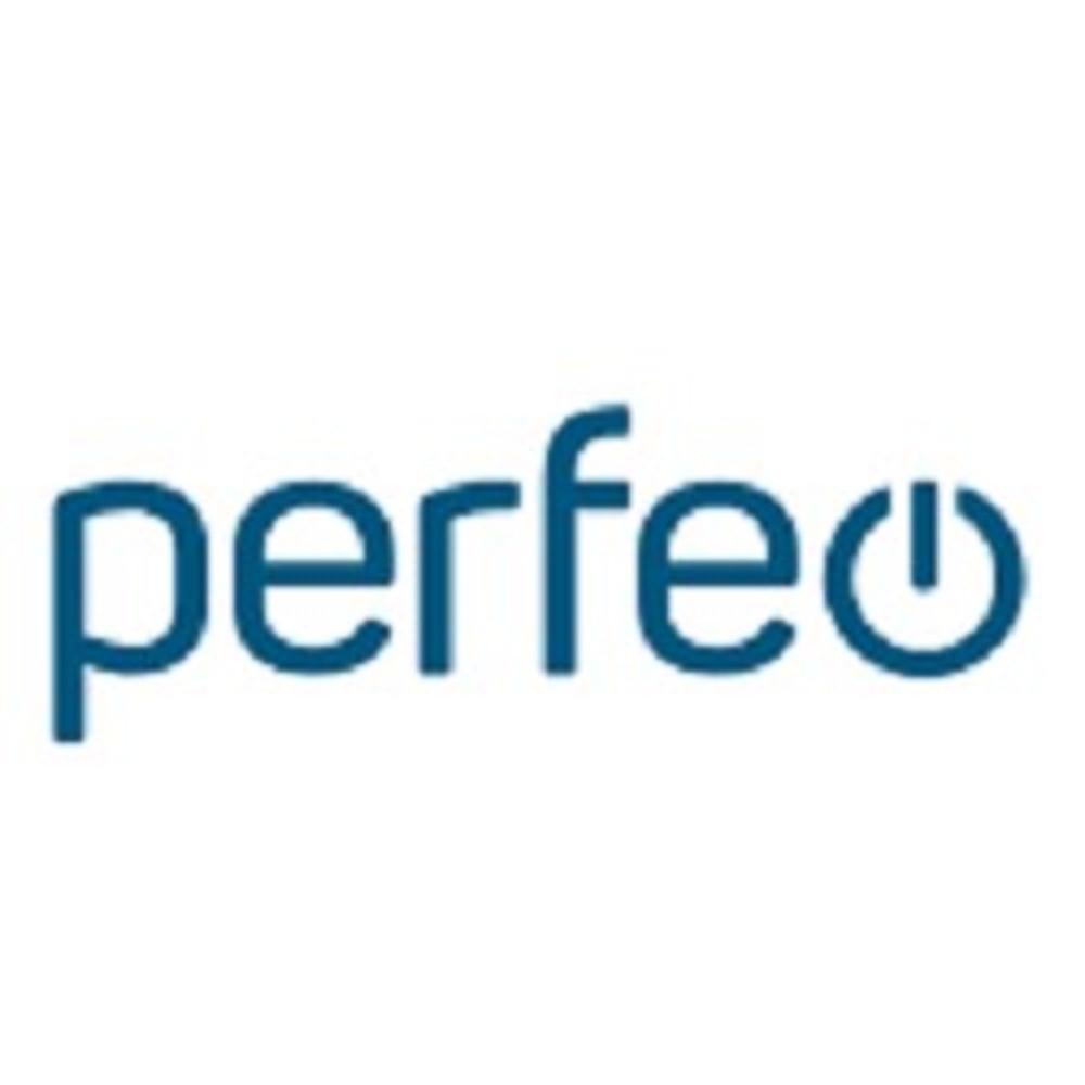 PERFEO Сетевое зарядное устройство с двумя разъемами TYPE-C, GaN, 40W, белый (I4662)