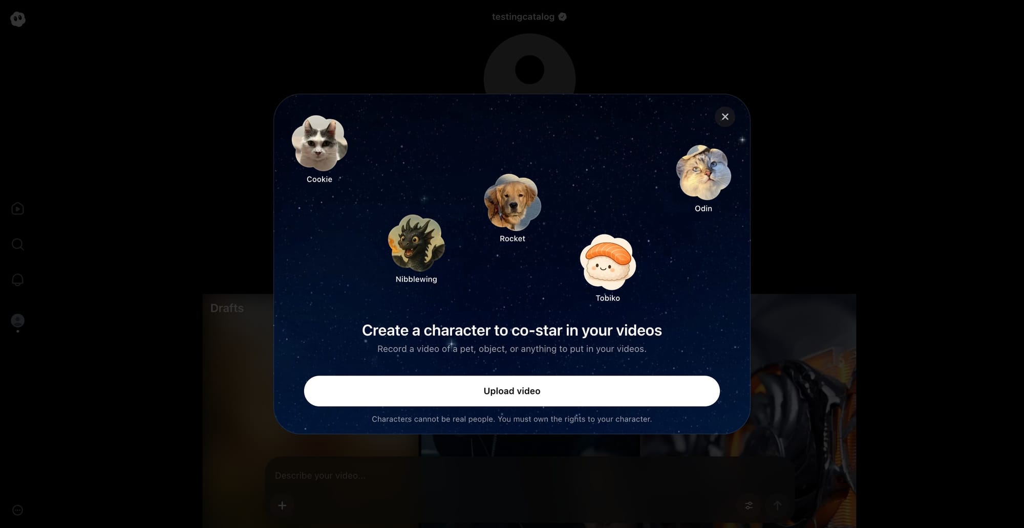OpenAI Sora Character Cameo