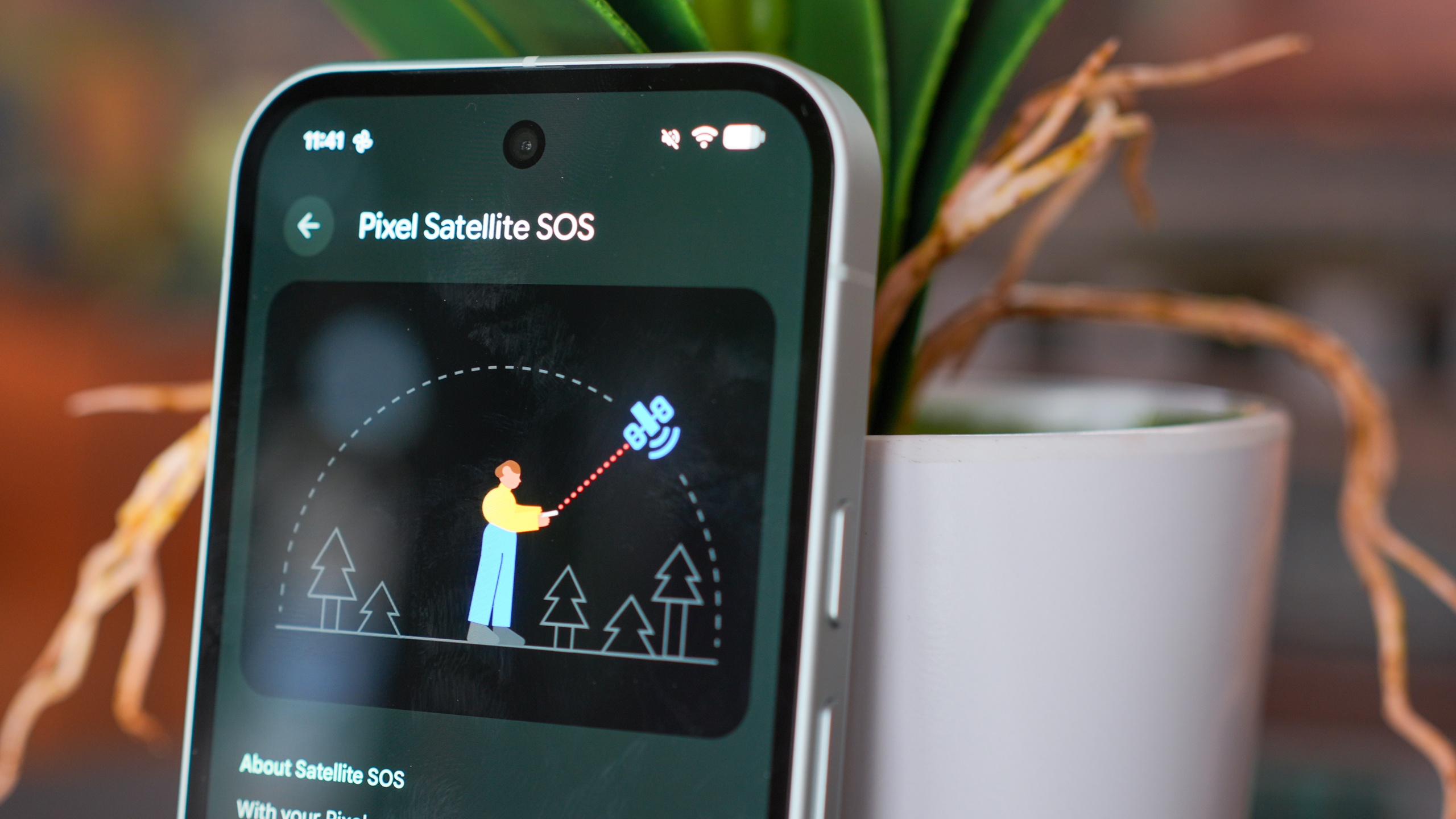 Satellite SOS