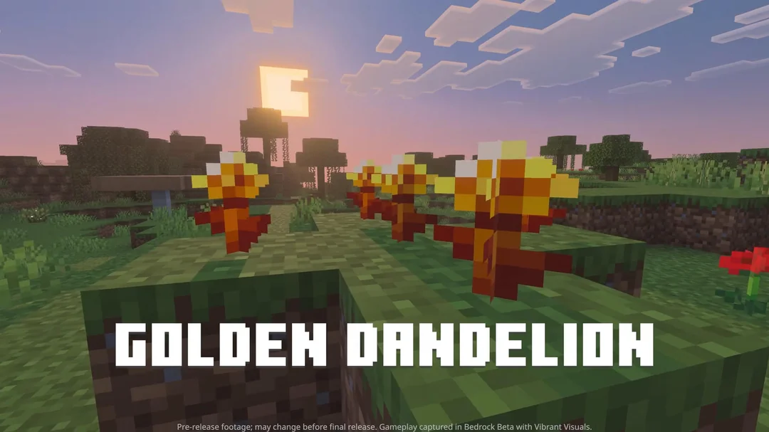 Golden Dandelion